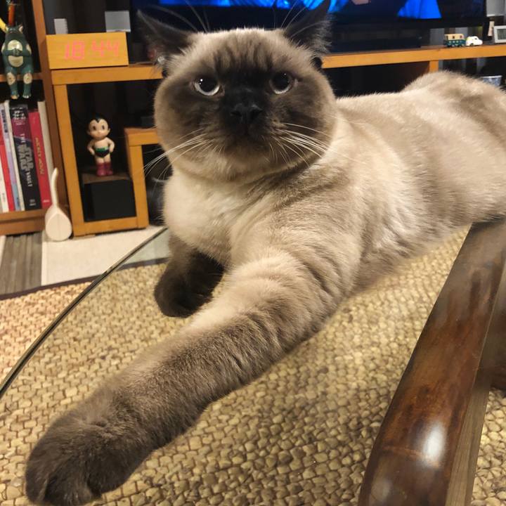 46e3fc20 bf95 4c95 8809 43c6c08b9026 1600681727713