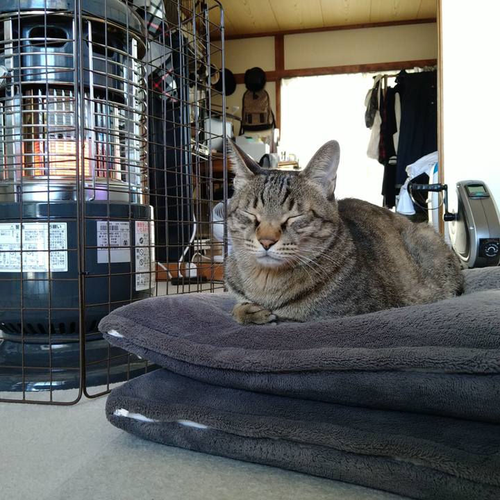 46e420c1 eebf 4de6 b728 4c509f267e8c 1703293234807