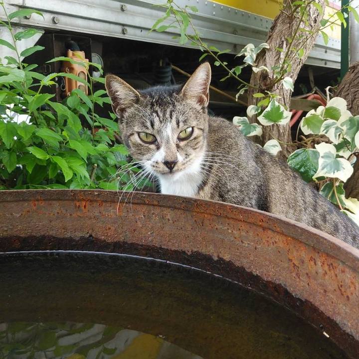 46e4275f 8fd1 4e5e bd4e 01c70eac7d14 1569285299245