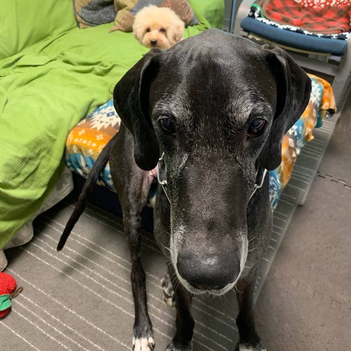 46e43564 5e71 47ac 880a c807ba1e2ac7 1570746751906