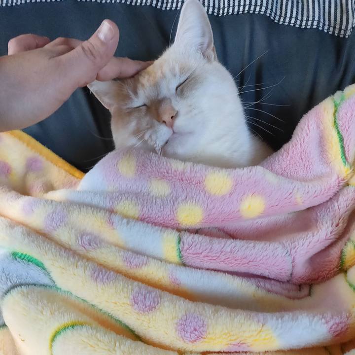 46e44386 f27f 4e1e 94aa 3cdd850df16b 1675578709144