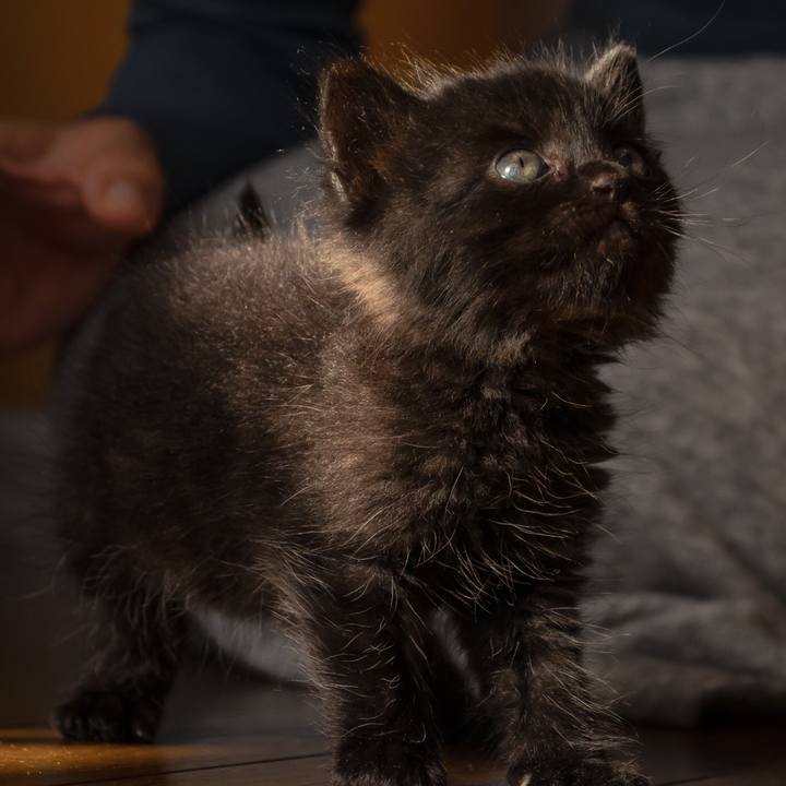 46e45c89 0b8e 4954 9fdb 77774c27aa85 1510400915586