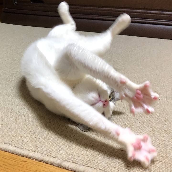 46e4837d 0594 4900 a9be 86cd46459745 1611407557349