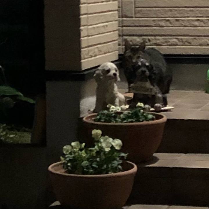 46e4bc84 4f8c 407f 8ffb fcbedfa38415 1637065817230