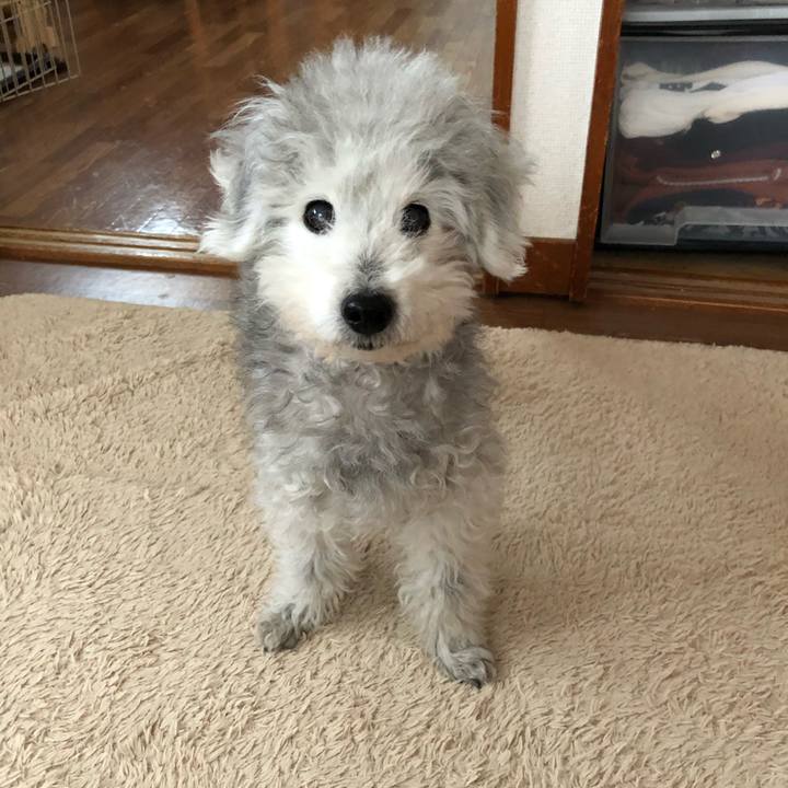 46e4bcb0 44d2 42ce 872c bba1c86125bf 1583065189791