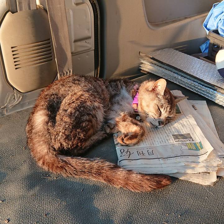 46e4be62 091e 4465 a55b abc27c260766 1598560841937