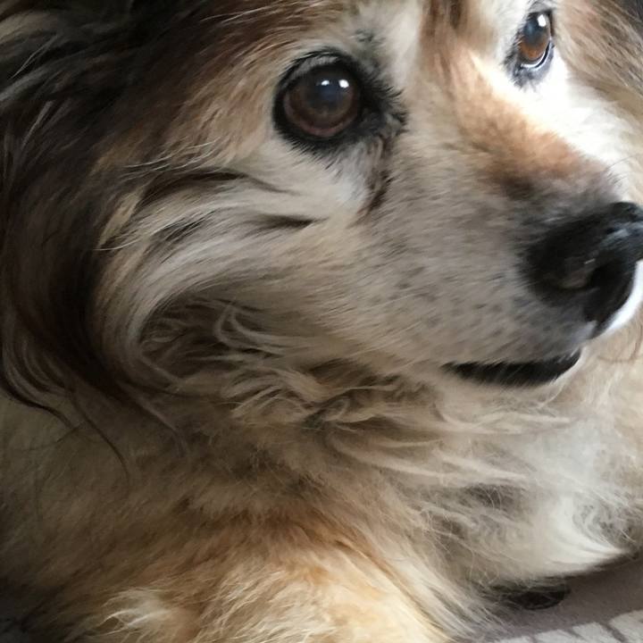 46e4d044 2d59 459b a08f 32e609f74feb 1592870735058