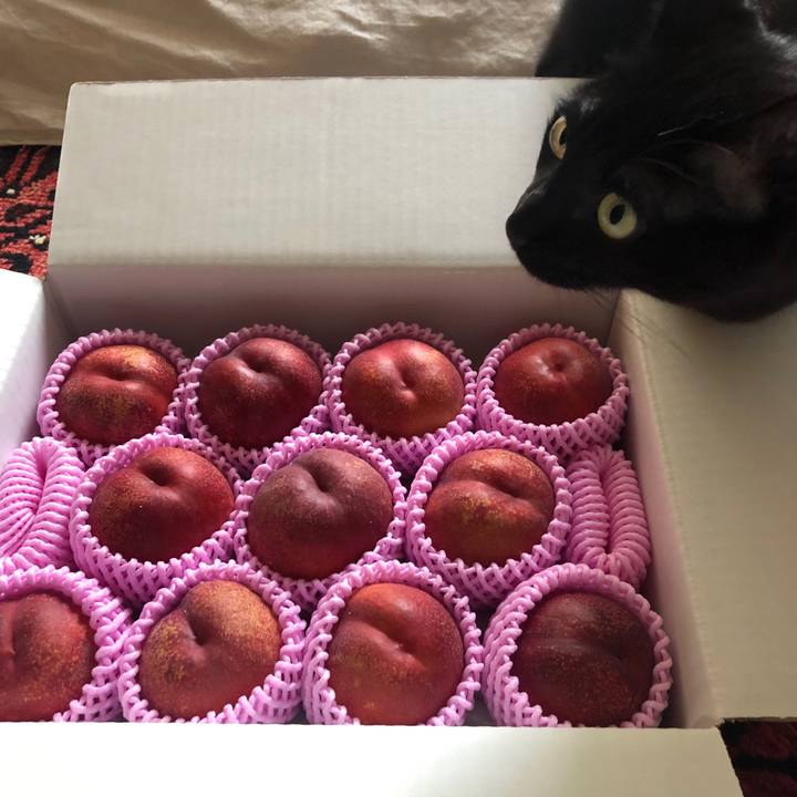 46e50aa3 b311 4288 9bf4 c74d9ecf3cb0 1595545554511