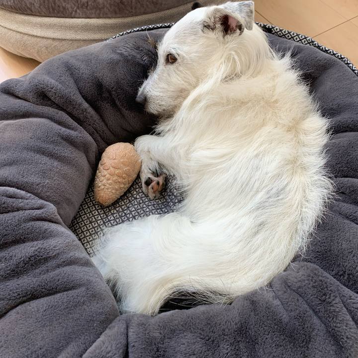 46e52b61 f9c0 4b2c b0d0 d72977ce42ea 1593666137134