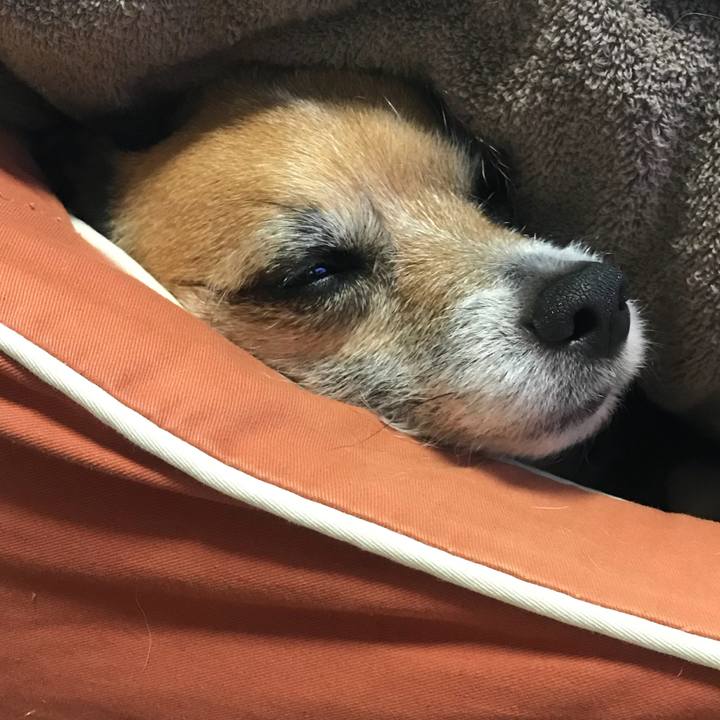 46e53022 37e1 49e8 b516 bad1edf5d8fa 1524697083716