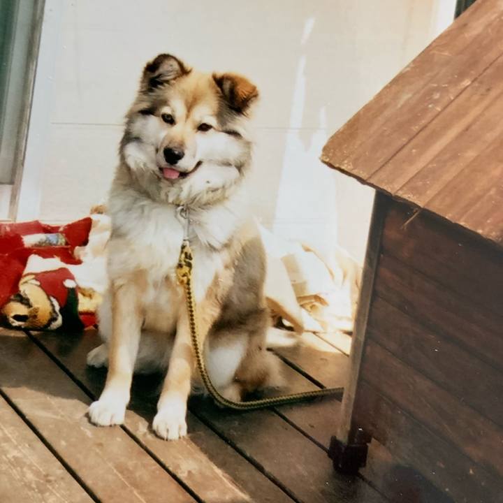 46e53179 60ff 4fd0 be62 c95090ef31bf 1631759399583