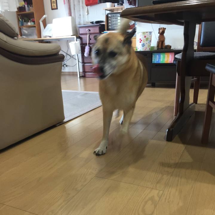 46e5565b 3b18 4432 8341 ad59f7ea98f8 1525567790424