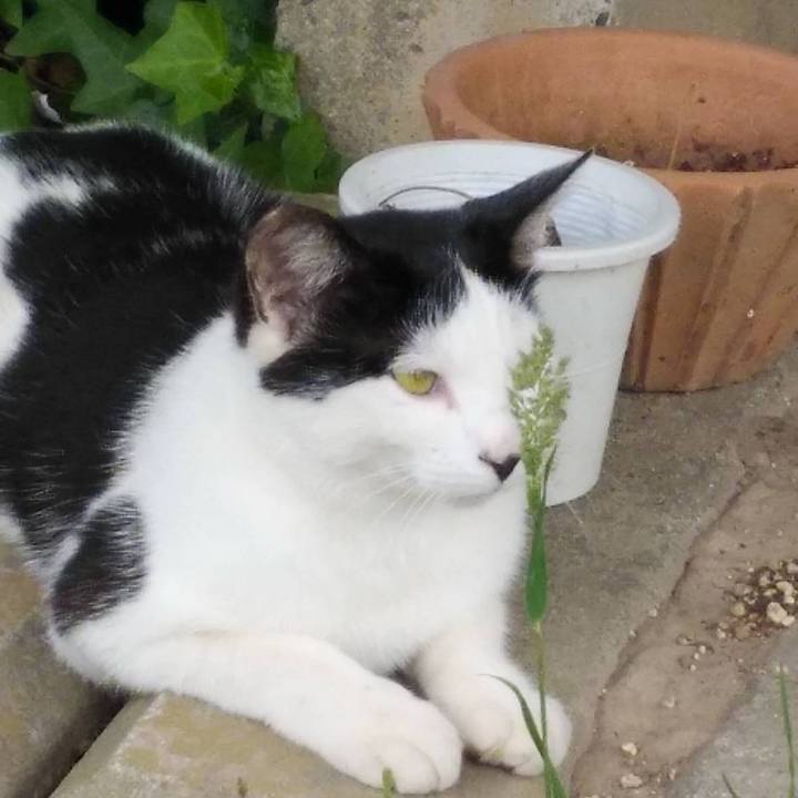 46e55f4c 3a08 43bd 8174 e3f66b6ed733 1621830754306