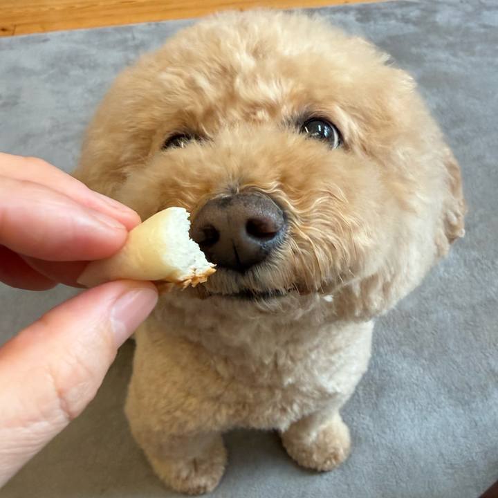 46e587d4 bc1f 4b4e afc6 9d2e9e8b3375 1771198940976