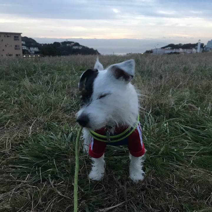 46e58d2a 68c0 4cb6 b776 f1c662310ce8 1542593359898