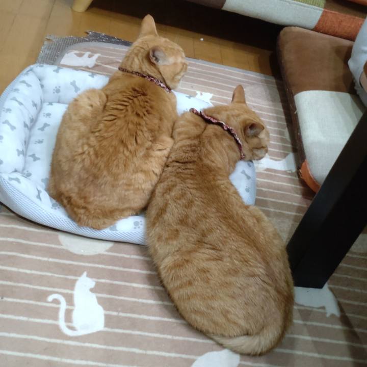 46e59944 92b8 4095 b7bd 4346e0f5d611 1712661010000