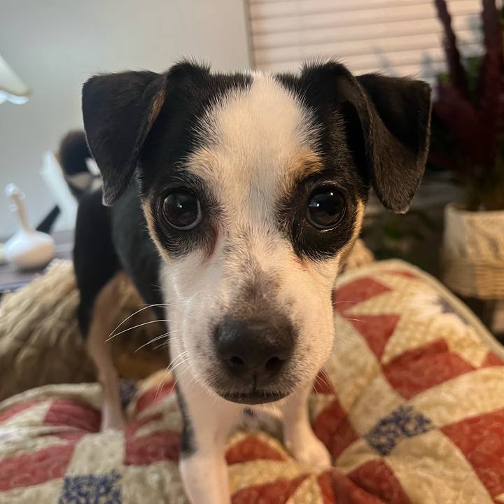 46e5c7d5 8899 47b9 8cfd 64676c43b507 1712873331779