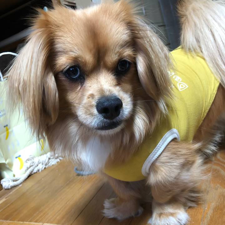 46e5fb47 f602 4ed2 b73e 64f2874d9995 1525565735679