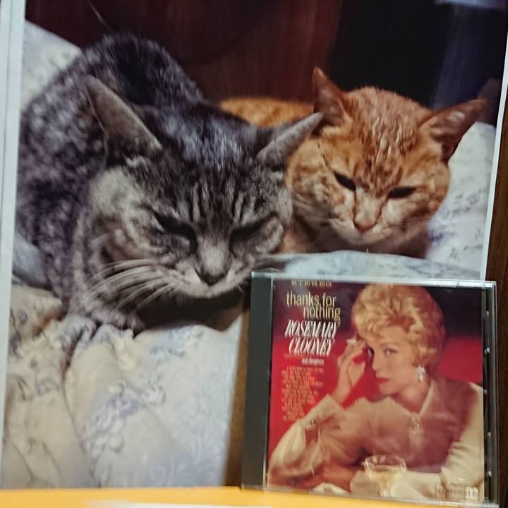 46e5fe6c d2cf 4d97 a9e6 a55483b9fd5e 1616327413311