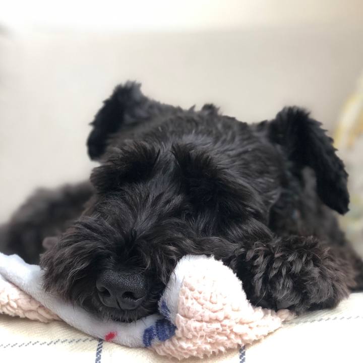 46e5fec7 c192 447b 8faf 2a70b510f133 1635217220935