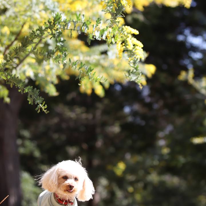 46e614c7 c9d5 4c08 b32a f78433d030b5 1616156876018