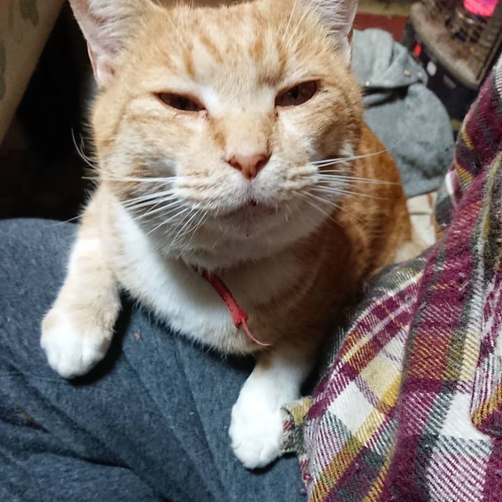 46e64f59 6616 49c5 8442 043bb19b17e5 1576313063592