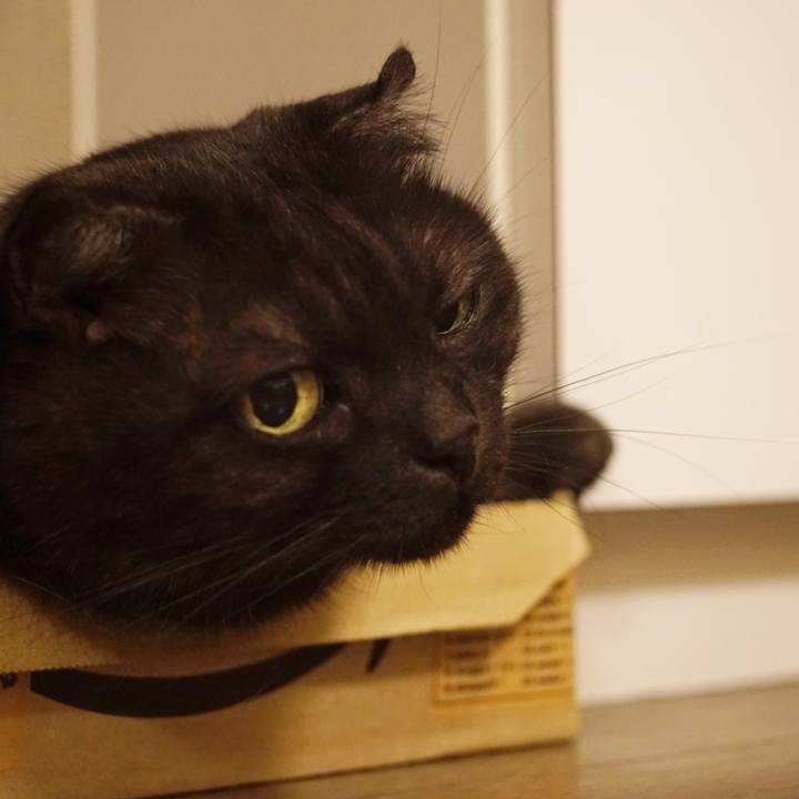 46e68b26 85ba 47b0 86ab 76d45d670406 1562255162244