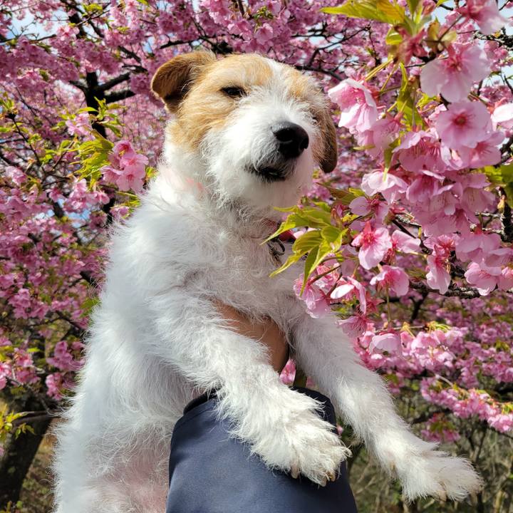 46e68e6e 1dab 4ca7 8114 95a5da51715d 1708749452293