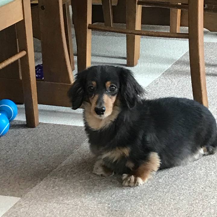 46e6ba30 38fa 4741 a509 87443895eb23 1522707236307