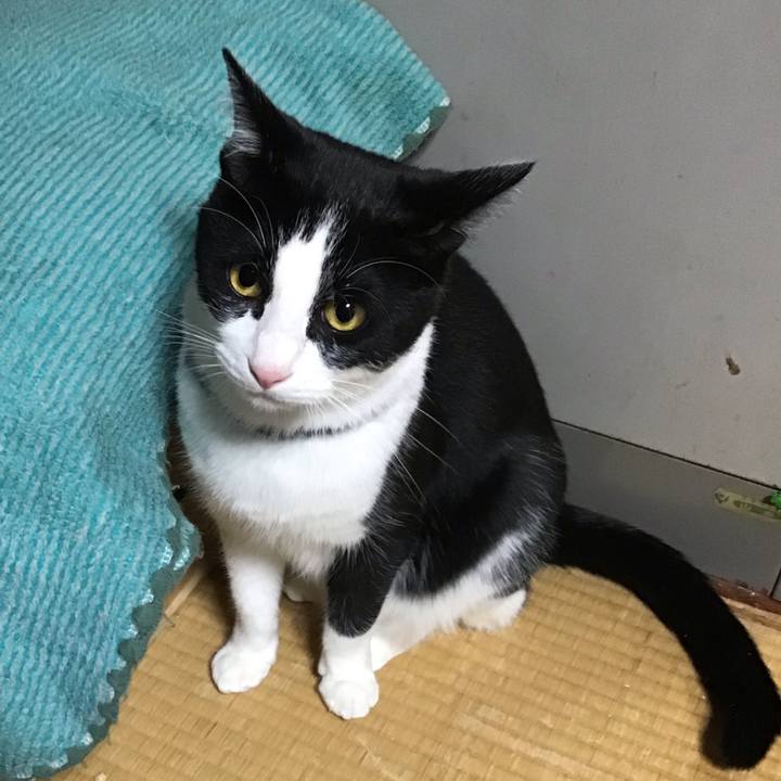 46e6f22f 67fd 4cfb a257 f3595c5492f2 1669636216638