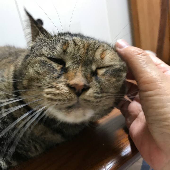 46e7397f 391b 43fb 8bfc bf420b0b2871 1526561510084