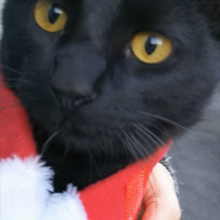 46e74072 bca5 4e19 b60a 0f2bb734b985 1544859892327