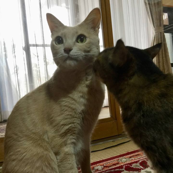 46e7421a 24b2 4a6c aa13 8de8be7ad490 1577771837287