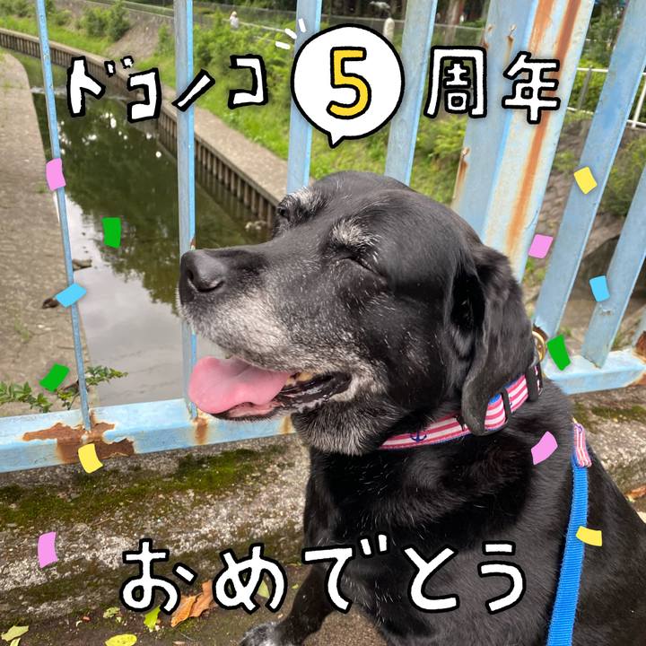 46e762d2 7c15 475a 8f54 4772e1c3ed1d 1622880320179