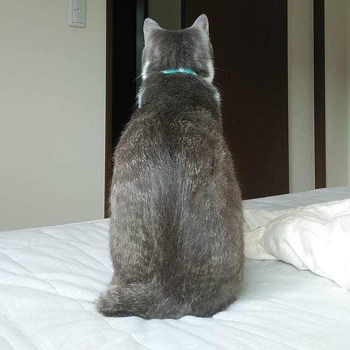 46e7792d 9bbe 47fb 91a7 f16276d3dbb4 1590451988771