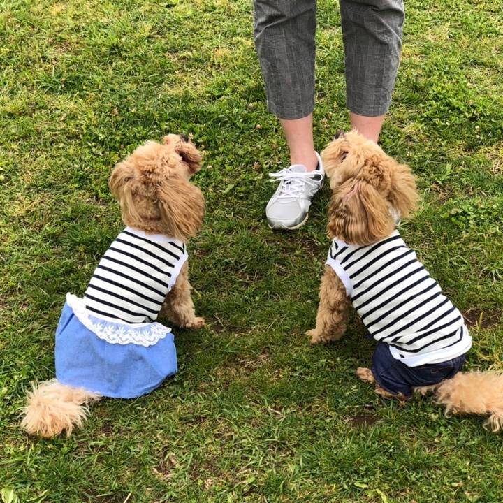 46e78481 023a 46bb 9a55 d7e482a9184d 1651997791676