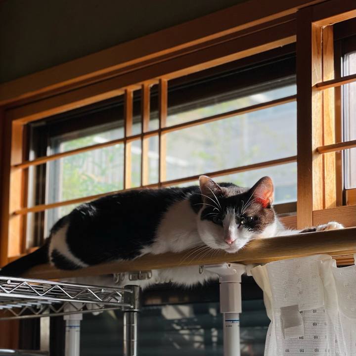 46e784d2 74a8 411a b0f9 0005e811a51c 1634178894443