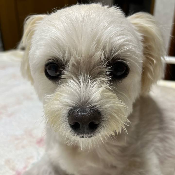 46e7a105 3c06 44a9 b527 cd81b642997f 1664458605648