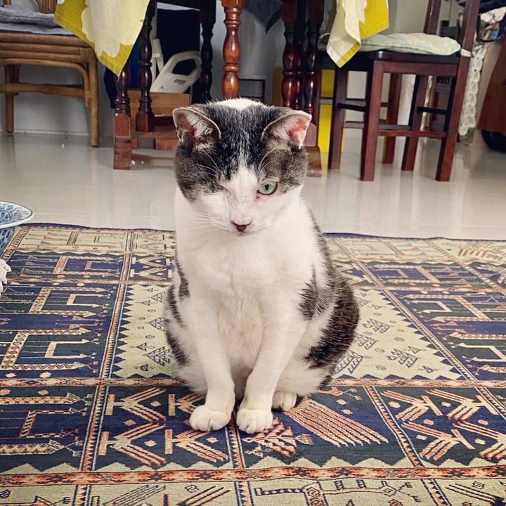 46e7a794 8d5c 46e1 a9cb f03ebf98312b 1587111419829