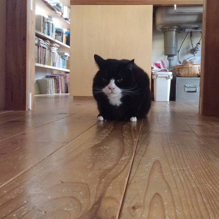 46e7d9ca 1144 431f 8037 a969bfeab17a 1553298802630