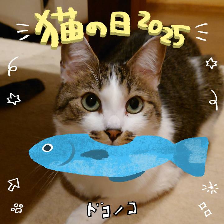 46e80169 5405 4369 9f81 7a5e44b667b2 1740354267440