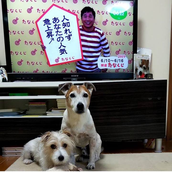 46e80ea9 b005 4fdc 9f25 bd13f37c233f 1749646603416