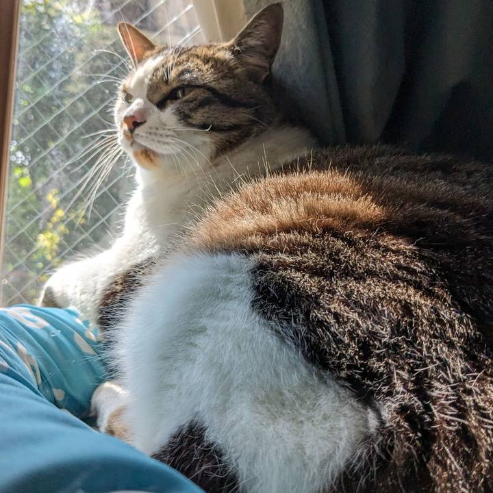 46e80ec0 97d8 456f bd23 e26499092672 1714281211340