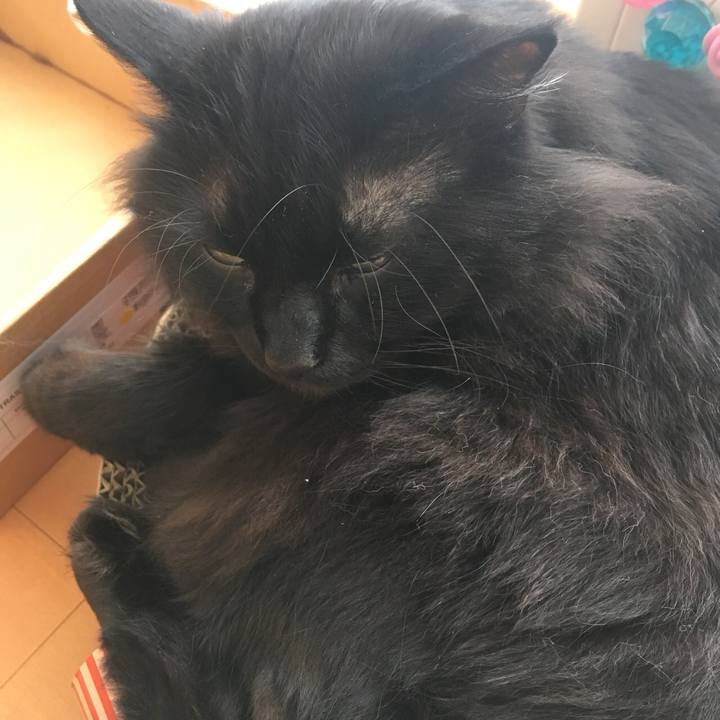 46e8bd37 3f80 4599 a6cb da34eb24bbf3 1552536757341