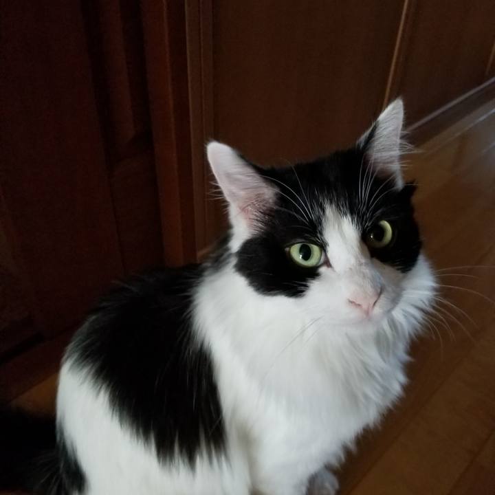 46e8c7f9 2b72 423e 9abd 8b9571f577c4 1531904028595