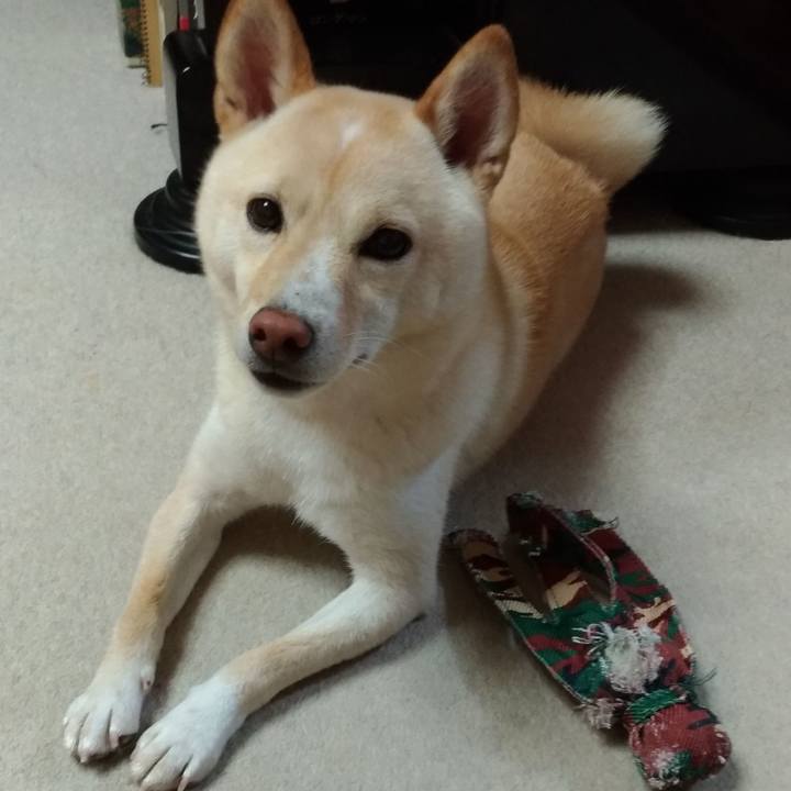 46e8ca60 2935 4e15 8354 66dca10c073f 1535410446414