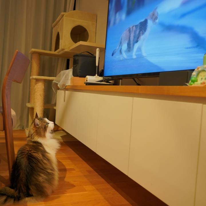 46e91568 2b33 495b b665 7b9213beb57b 1682594339550