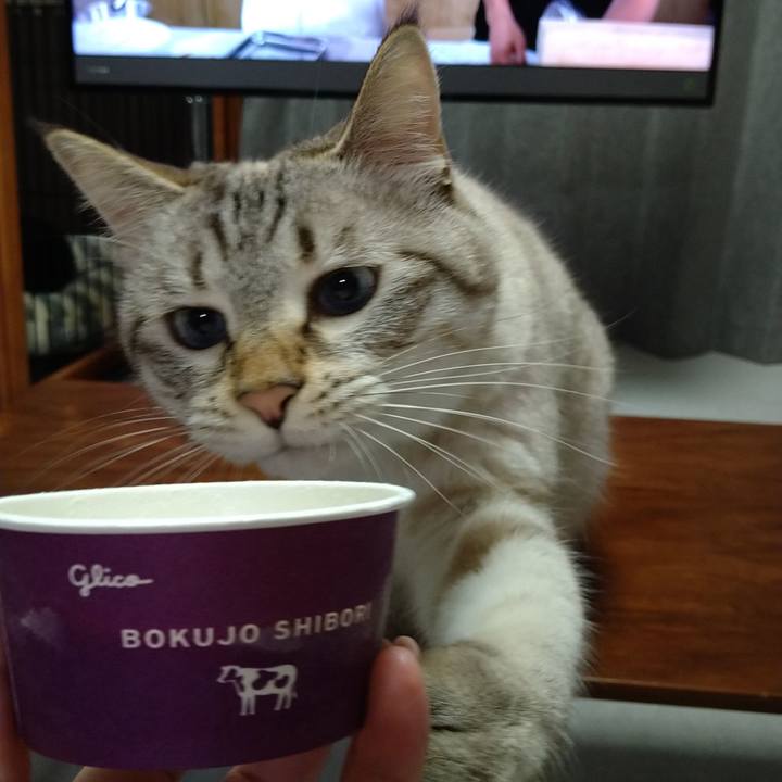 46e92e0e 4815 4949 9fe1 46fc90d71401 1629284637071