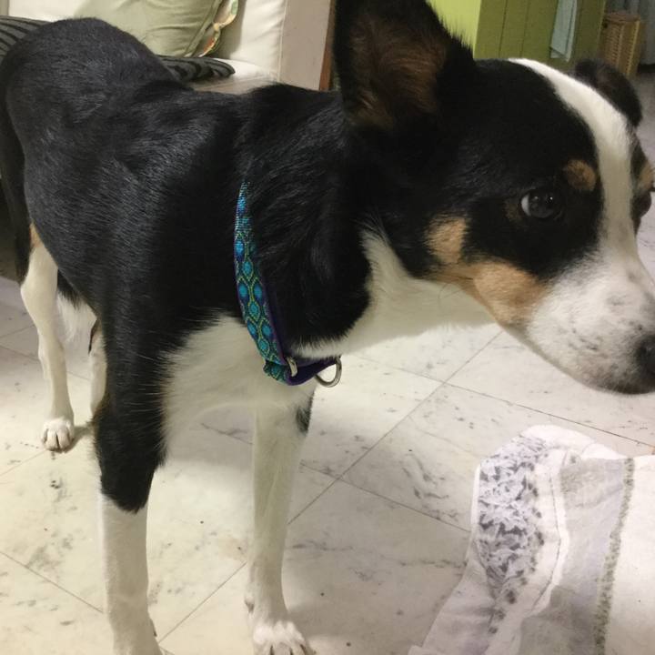 46e942c2 413a 4431 b689 3fc7fd9385dd 1575553108076