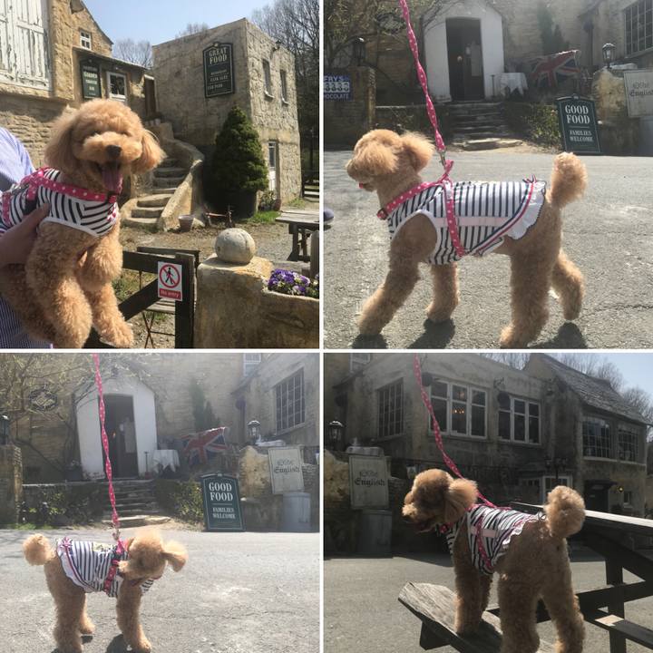 46e9738f d7f5 4f5b 8ebd a1abef33824b 1522487340472